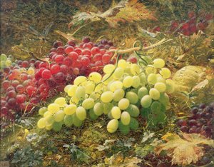 Uvas